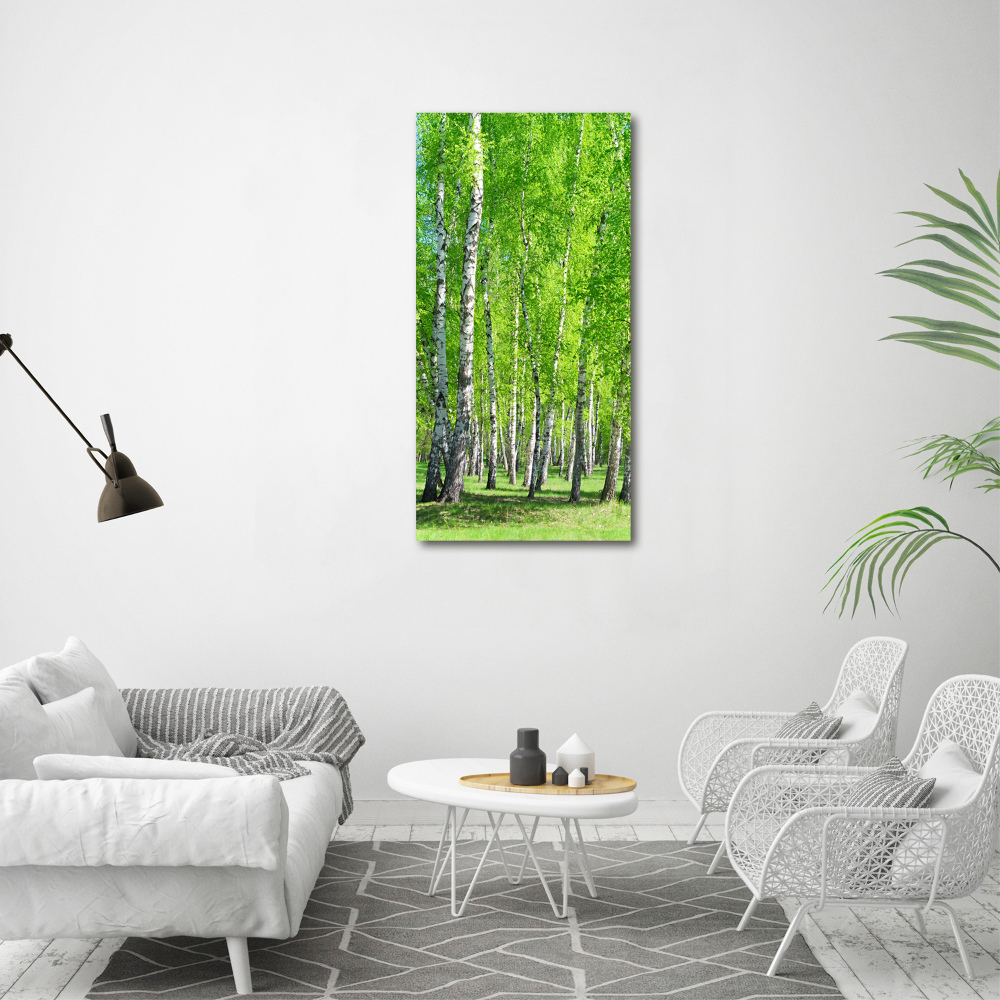 Tableau imprimé sur toile Forêt bouleau