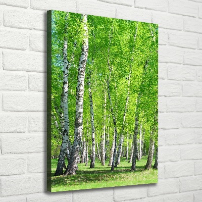 Tableau imprimé sur toile Forêt bouleau