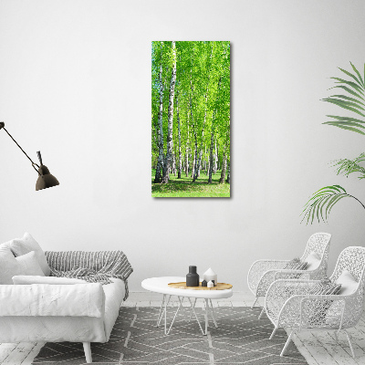 Tableau imprimé sur toile Forêt bouleau