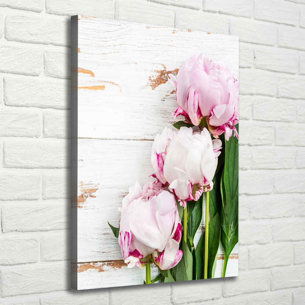 Tableau photo sur toile Pivoine