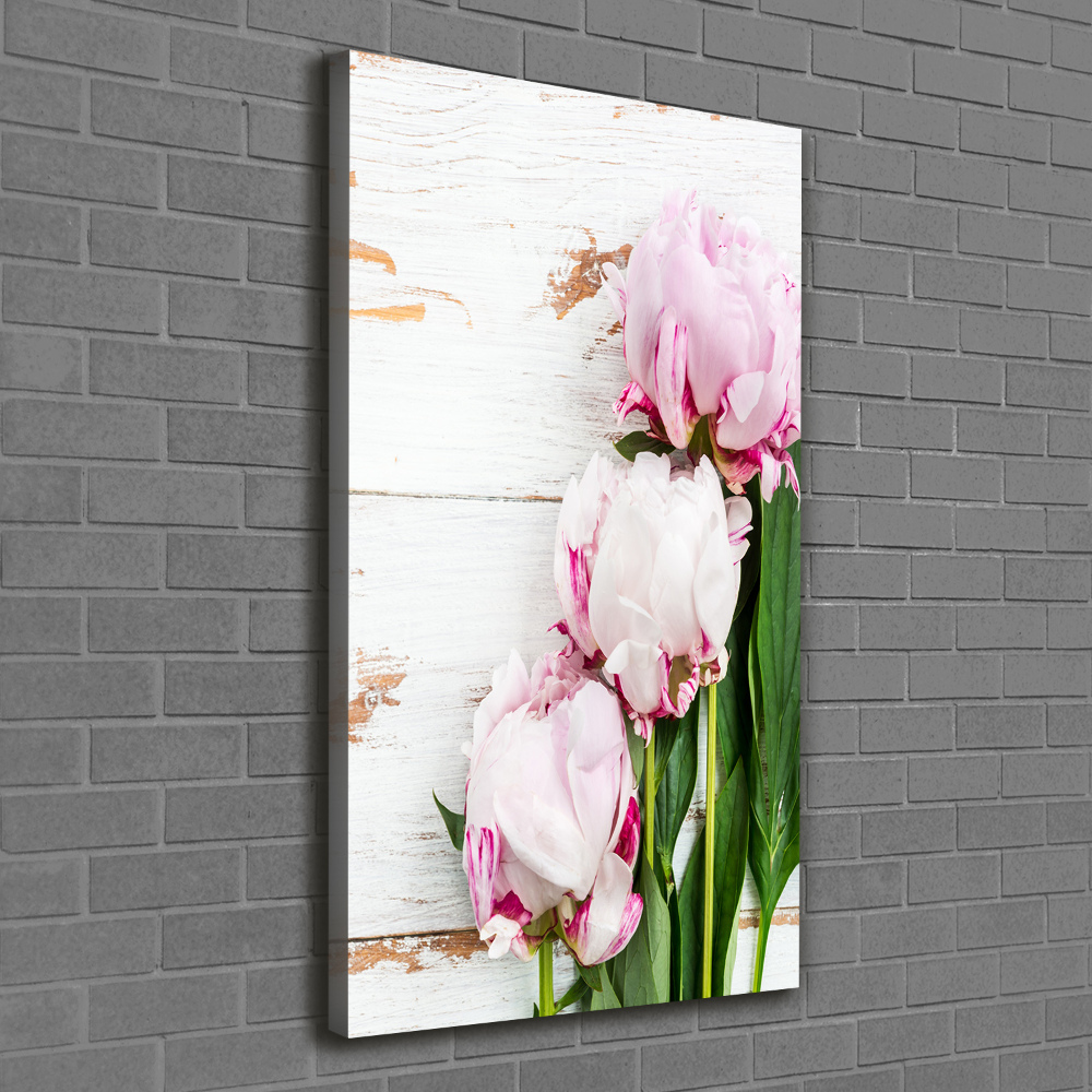 Tableau photo sur toile Pivoine