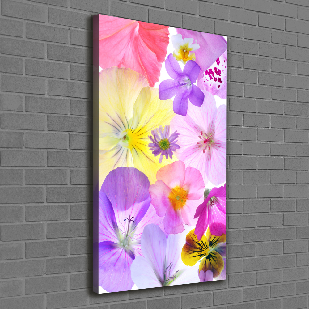 Tableau toile imprimée Fleurs colorées