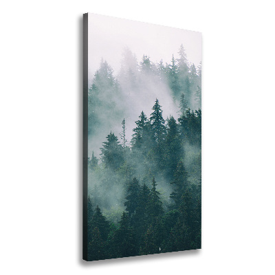 Tableau photo sur toile Brume sur la forêt