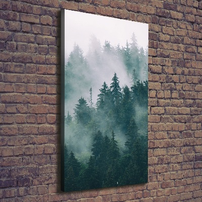 Tableau photo sur toile Brume sur la forêt