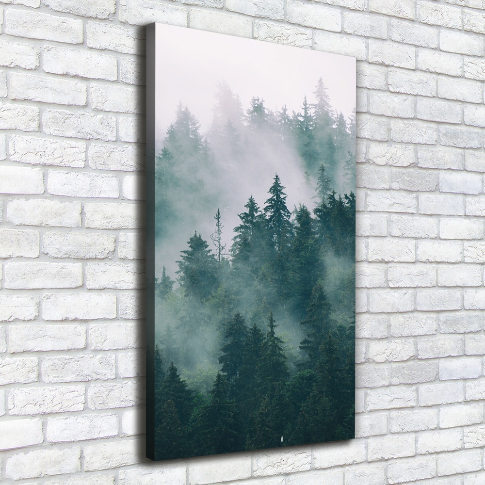 Tableau photo sur toile Brume sur la forêt