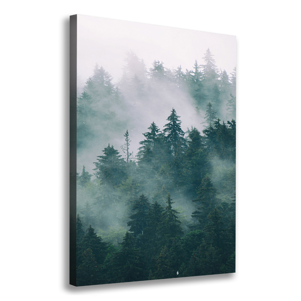 Tableau photo sur toile Brume sur la forêt