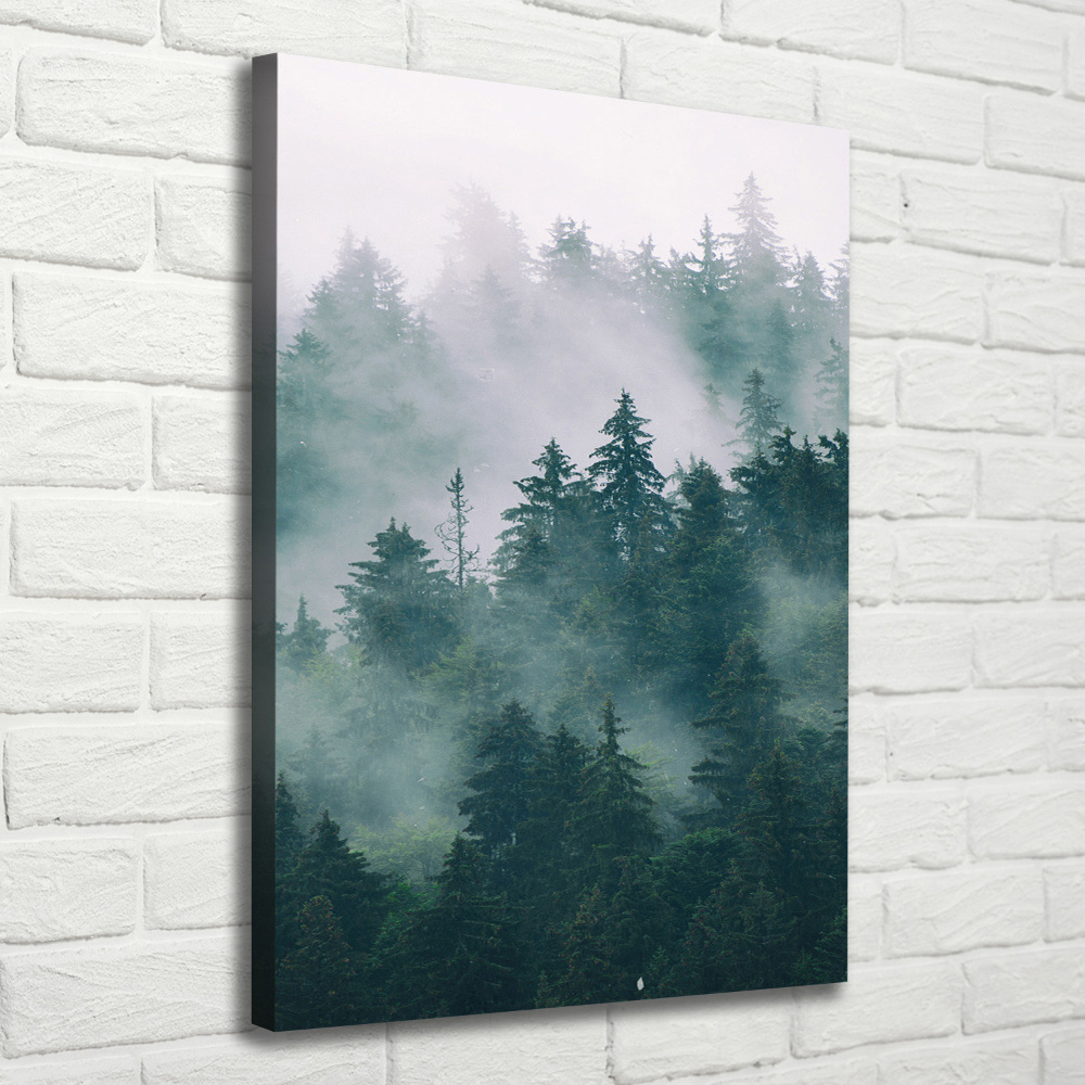 Tableau photo sur toile Brume sur la forêt