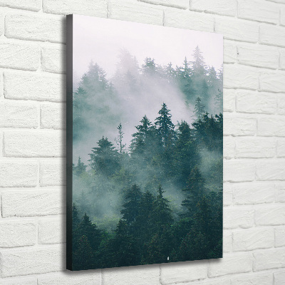 Tableau photo sur toile Brume sur la forêt