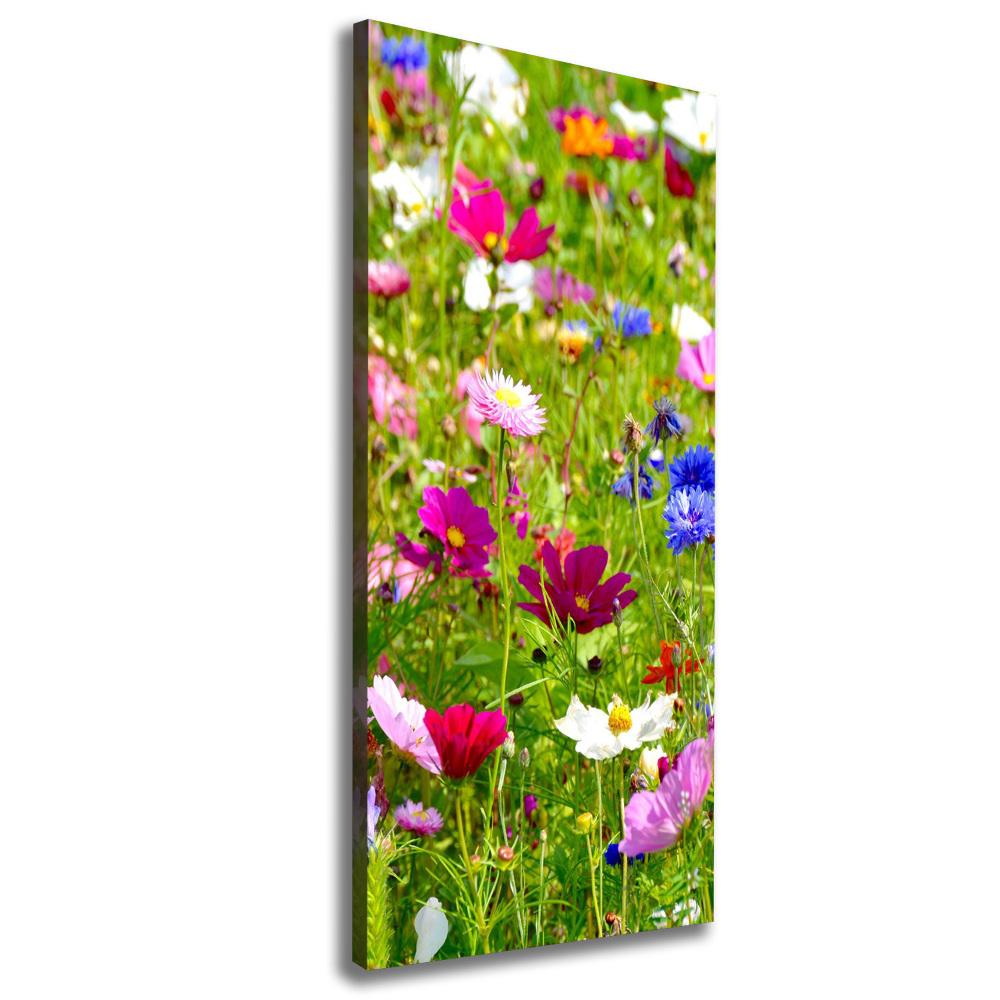 Tableau imprimé sur toile Fleurs des champs