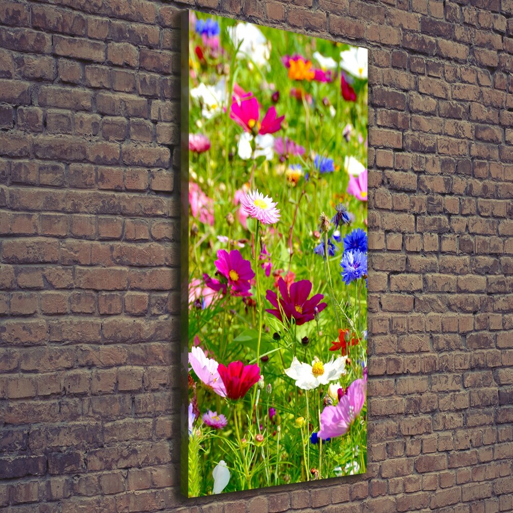 Tableau imprimé sur toile Fleurs des champs