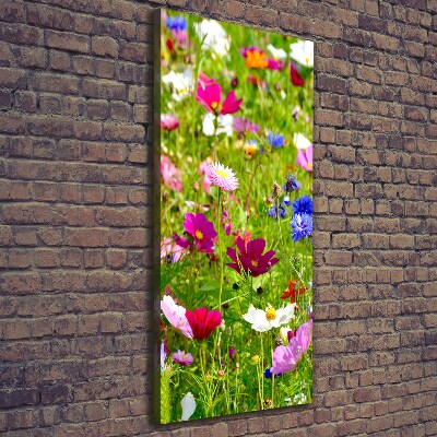 Tableau imprimé sur toile Fleurs des champs