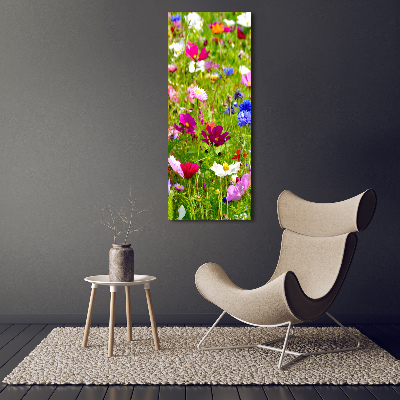 Tableau imprimé sur toile Fleurs des champs