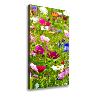 Tableau imprimé sur toile Fleurs des champs