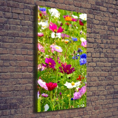 Tableau imprimé sur toile Fleurs des champs