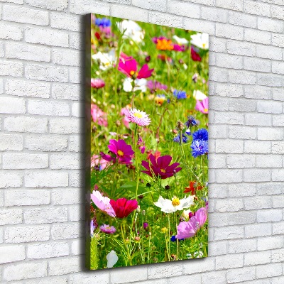 Tableau imprimé sur toile Fleurs des champs