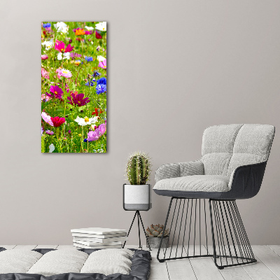 Tableau imprimé sur toile Fleurs des champs