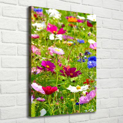 Tableau imprimé sur toile Fleurs des champs