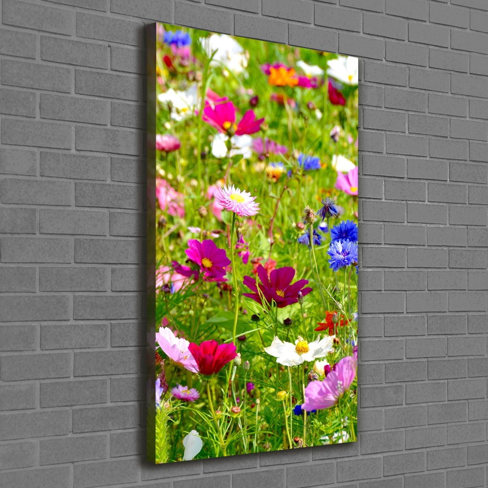 Tableau imprimé sur toile Fleurs des champs