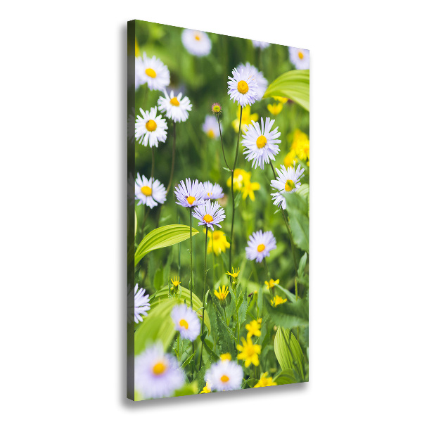 Marguerites