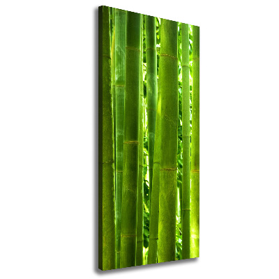 Tableau sur toile Bamboo