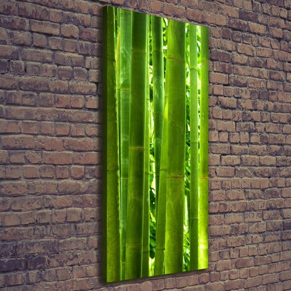 Tableau sur toile Bamboo