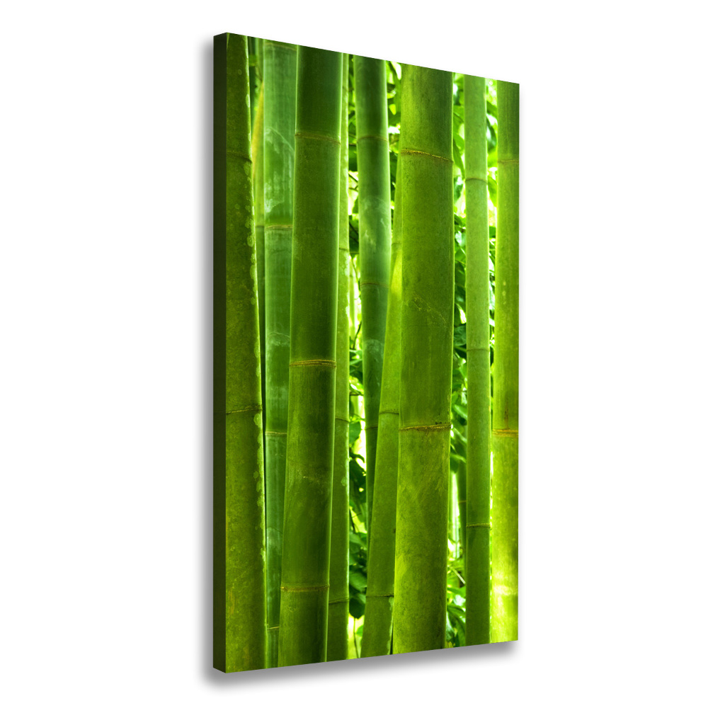 Tableau sur toile Bamboo