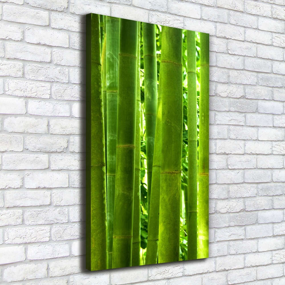 Tableau sur toile Bamboo