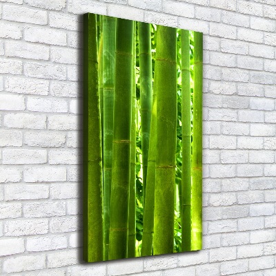 Tableau sur toile Bamboo