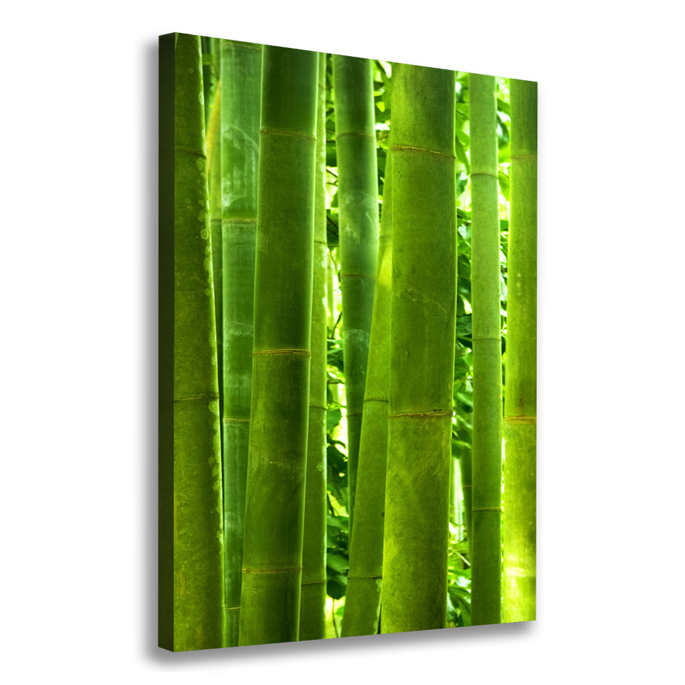 Tableau sur toile Bamboo