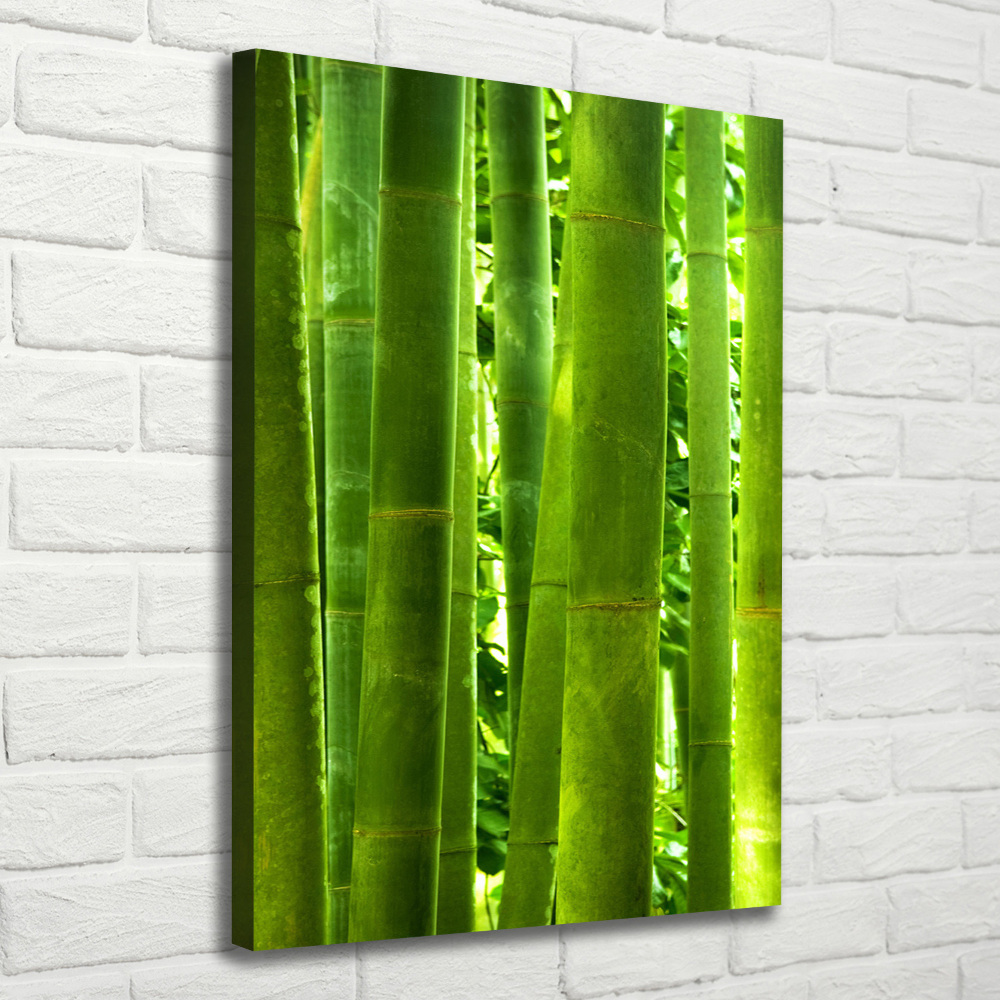 Tableau sur toile Bamboo