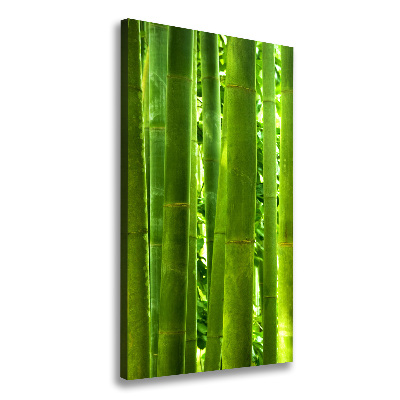 Tableau sur toile Bamboo