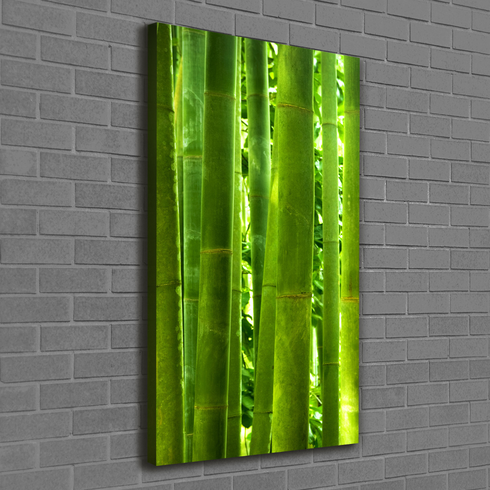 Tableau sur toile Bamboo