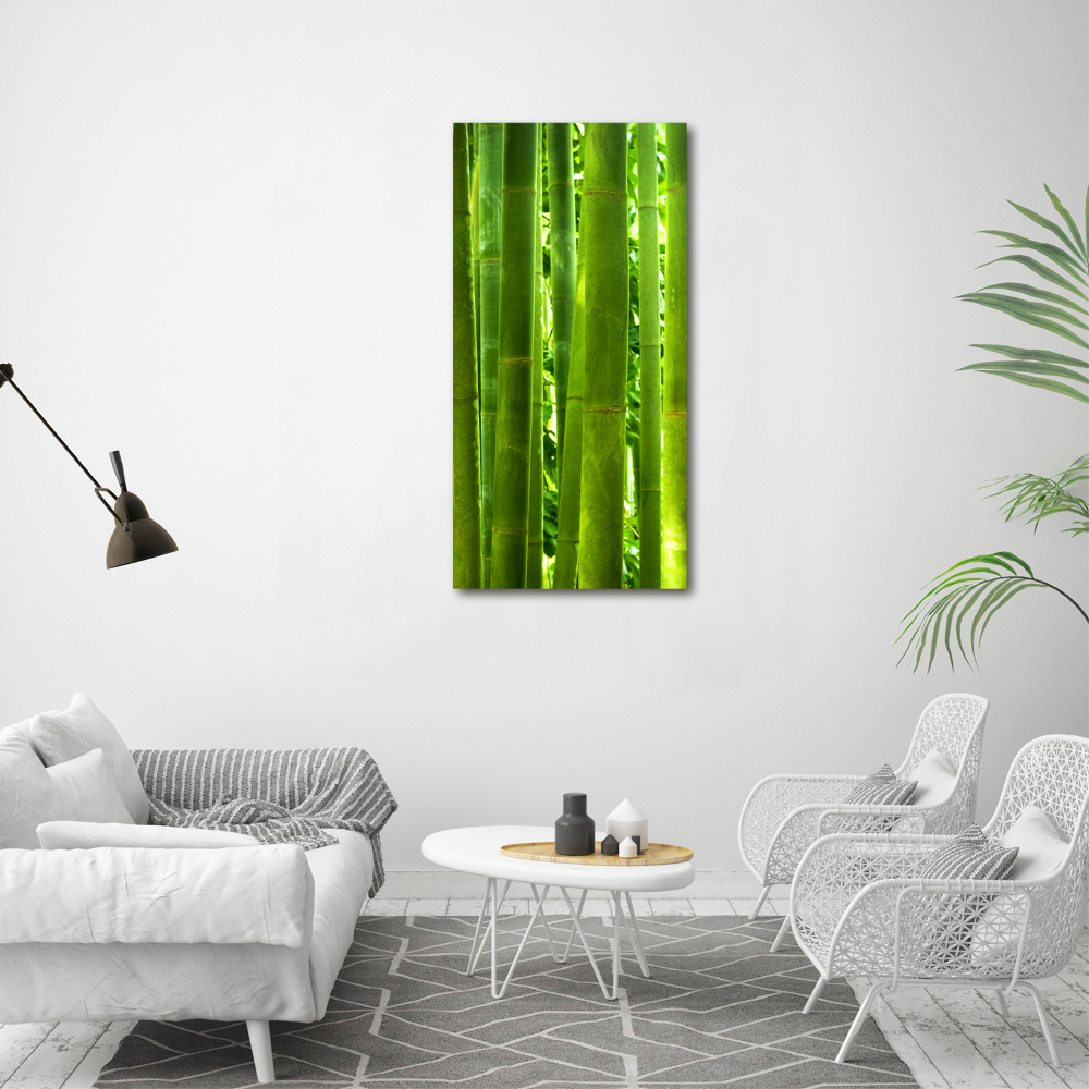 Tableau sur toile Bamboo