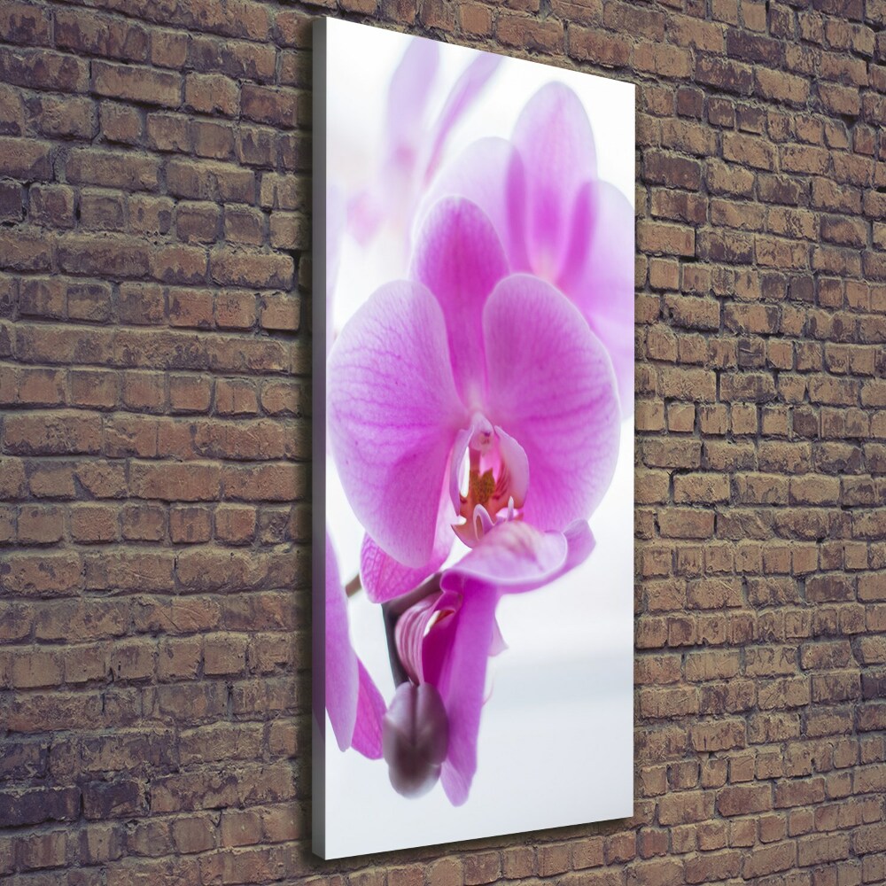 Tableau mural sur toile Orchidée rose