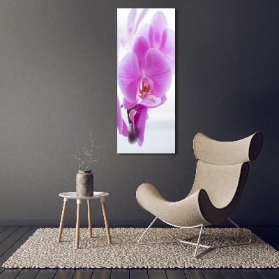 Tableau mural sur toile Orchidée rose