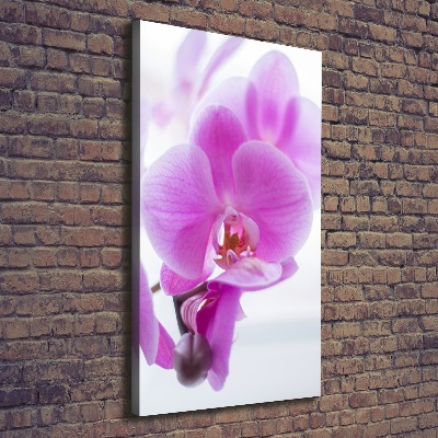 Tableau mural sur toile Orchidée rose