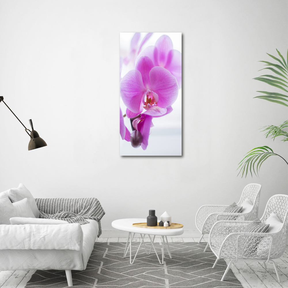 Tableau mural sur toile Orchidée rose