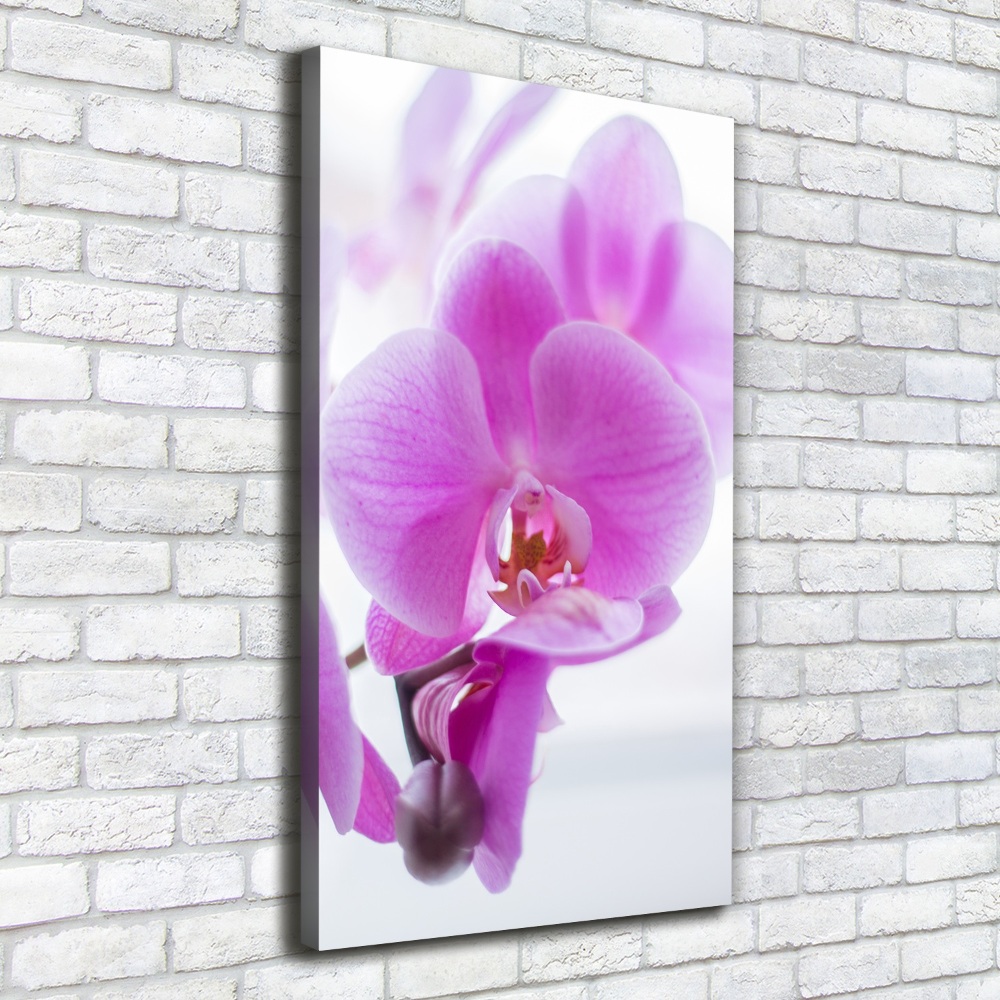 Tableau mural sur toile Orchidée rose