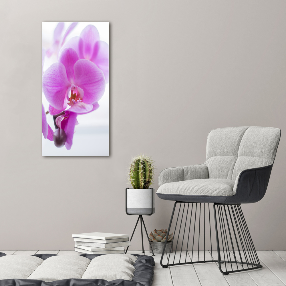 Tableau mural sur toile Orchidée rose