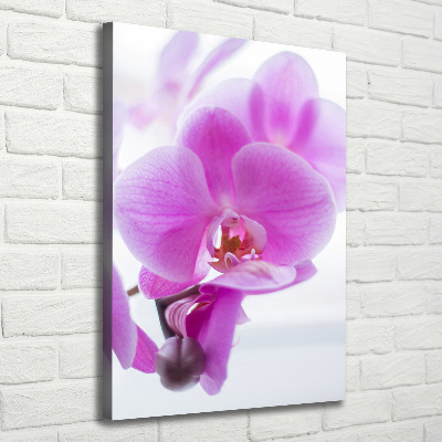 Tableau mural sur toile Orchidée rose