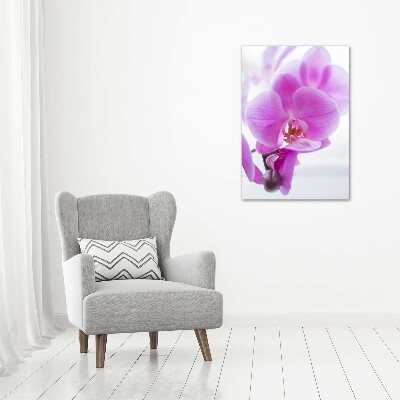 Tableau mural sur toile Orchidée rose