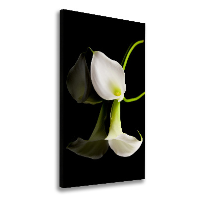 Tableau sur toile Calla blanc