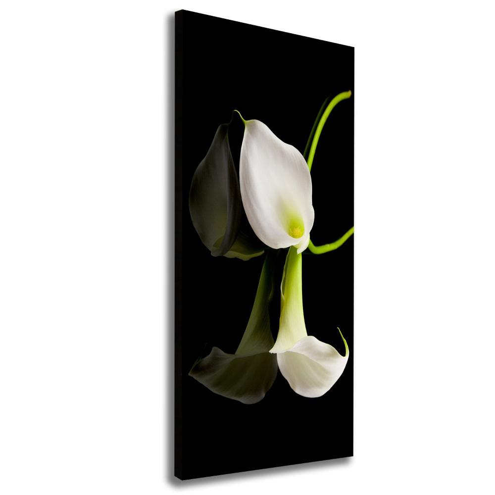 Tableau sur toile Calla blanc