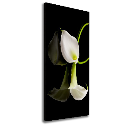 Tableau sur toile Calla blanc