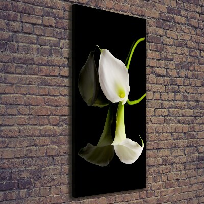 Tableau sur toile Calla blanc