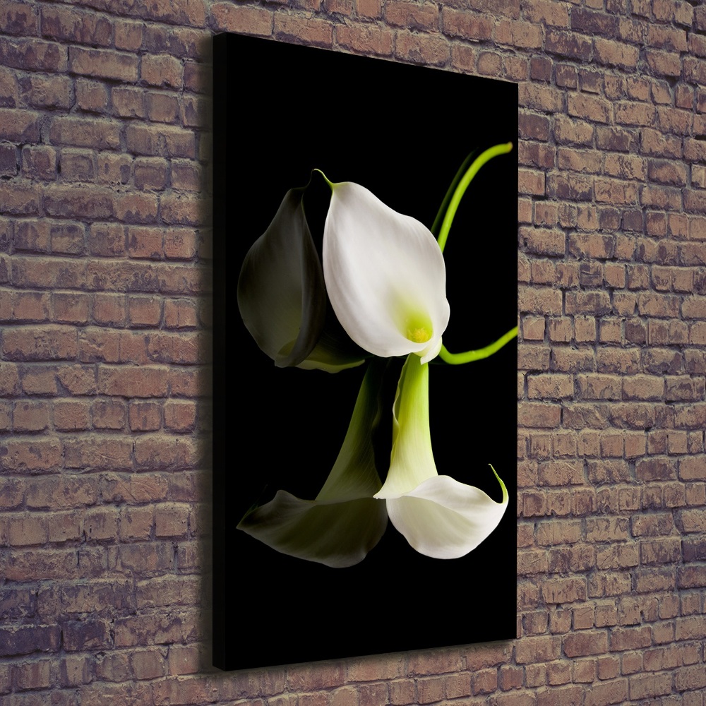 Tableau sur toile Calla blanc