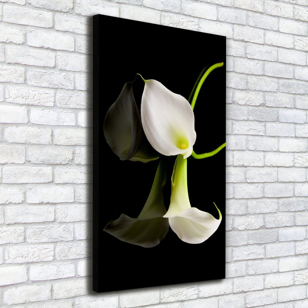 Tableau sur toile Calla blanc