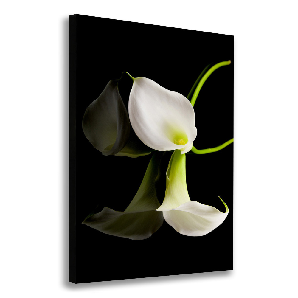 Tableau sur toile Calla blanc