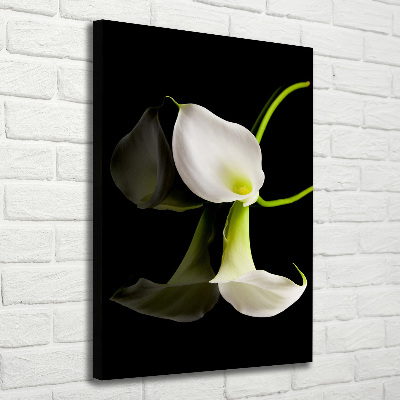 Tableau sur toile Calla blanc