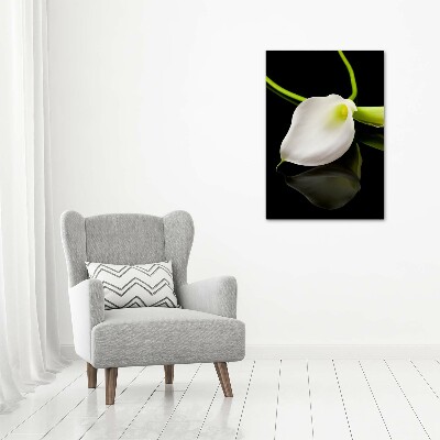 Tableau sur toile Calla blanc